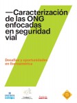 FICVI: Caracterización de las ONG enfocadas en Seguridad Vial.  Desafíos y Oportunidades en Iberoamérica