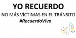 FICVI 2014: Día Mundial de recuerdo a las Víctimas Viales