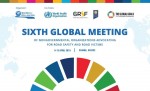 6ta Reunión de la Alianza Global de ONG y ONG de Vìctimas para la Seguridad Vial